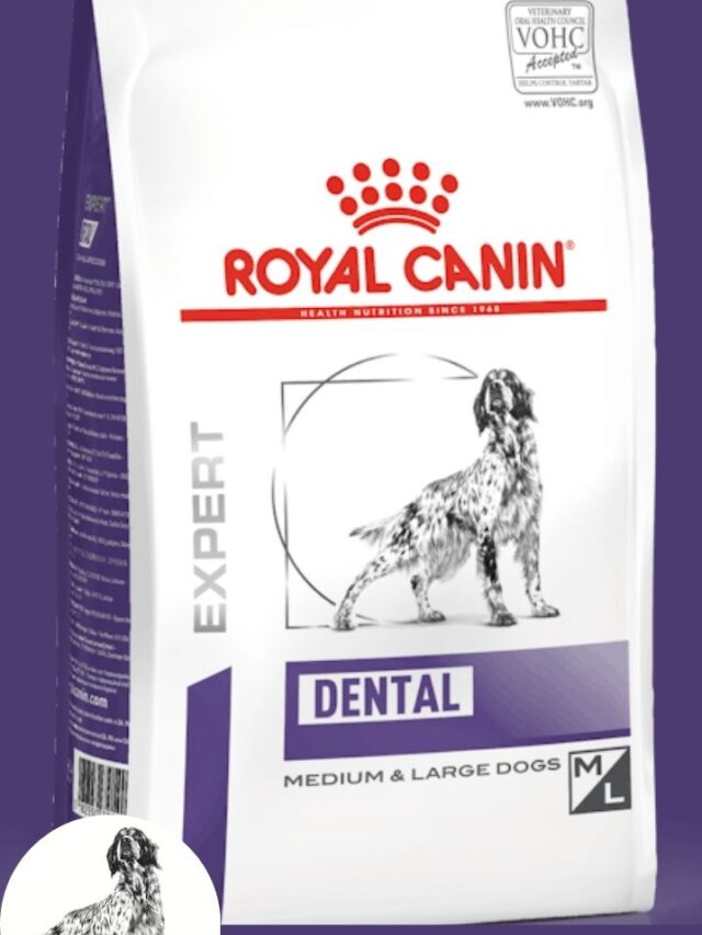 5 Reasons Royal Canin Dental Dog Food Could Be the Best Choice for Your Dog!